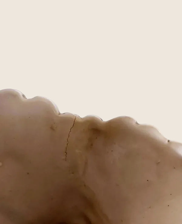 Vase Majestueux Capodimonte – Porcelaine Barbotine en Relief 3D (Naples, 60s) - LVR