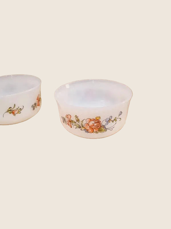 Duo de Ramequins Arcopal "Fruits de France" – Verre Opale Vintage (70s) - LVR