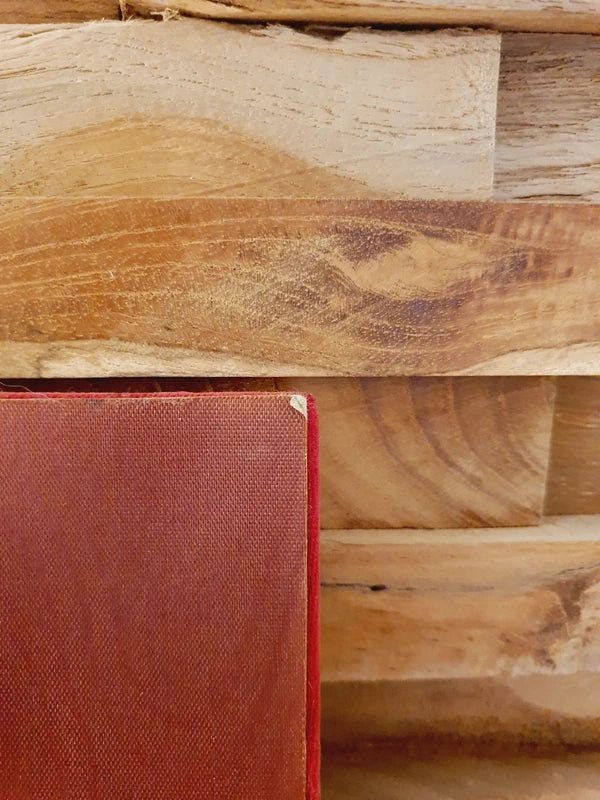 Une mise en scène de style rétro-romantique montrant un coin lecture chaleureux. Au centre, un petit tableau en bas-relief représentant une femme élégante à l'éventail est accroché sur un support en velours rouge, fixé à un mur en briques de bois. Zoom sur usure au dos sur le coin.