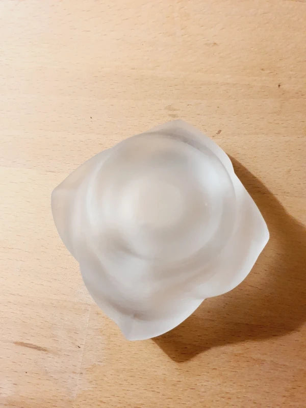 Paire de Bougeoirs "Roses Épanouies" en Verre Dépoli : Romantisme Vintage 🌹 - LVR