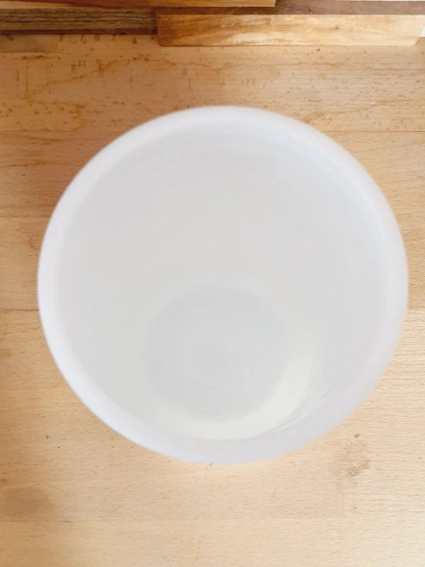 Vase en Verre Opale "Tulipes en Relief" : Éclat et Romantisme Vintage🌷 - LVR