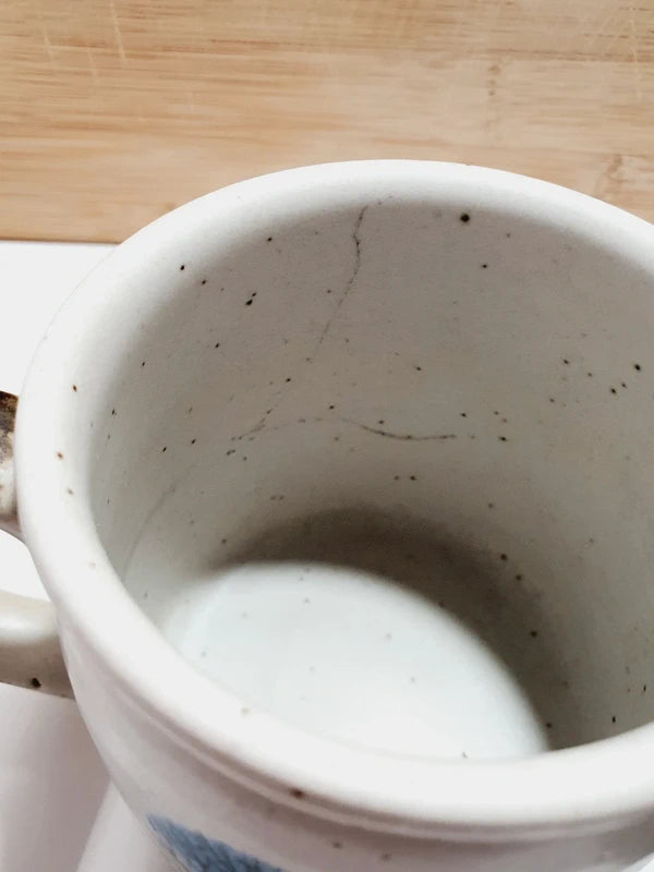 Deux mugs vintage en grès de la marque japonaise Otagiri avec un décor en relief de chouettes blanches dans les arbres sur fond bleu et beige.