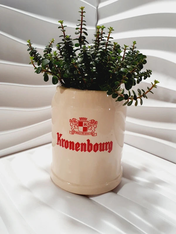 Chope à bière ancienne de marque Kronenbourg en céramique émaillée couleur crème et rouge en forme de tonneau publicitaire, inscription Baudour Belgium CRF sous le dessous, style bistrot vintage des années 1970 utilisé comme cache-pot décoratif pour plante verte.