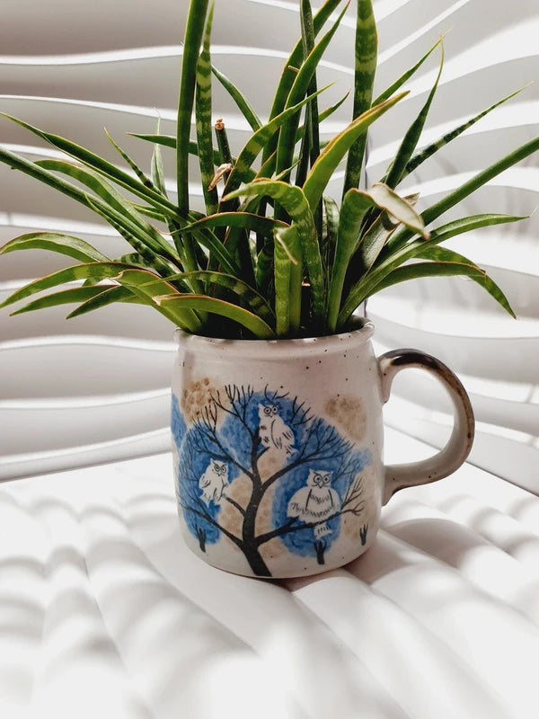 Deux mugs vintage en grès de la marque japonaise Otagiri avec un décor en relief de chouettes blanches dans les arbres sur fond bleu et beige, dont l'un est détourné en cache-pot pour une plante verte succulente.