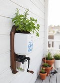 Ancien Moulin à Café Mural : Base Idéale Upcycling et Déco Plantes (Années 50) ☕🌿 - LVR