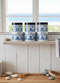 Trio de Pots à Épices "Dash" : Look Marin & Fraîcheur des Seventies (Années 70) ⚓ - LVR